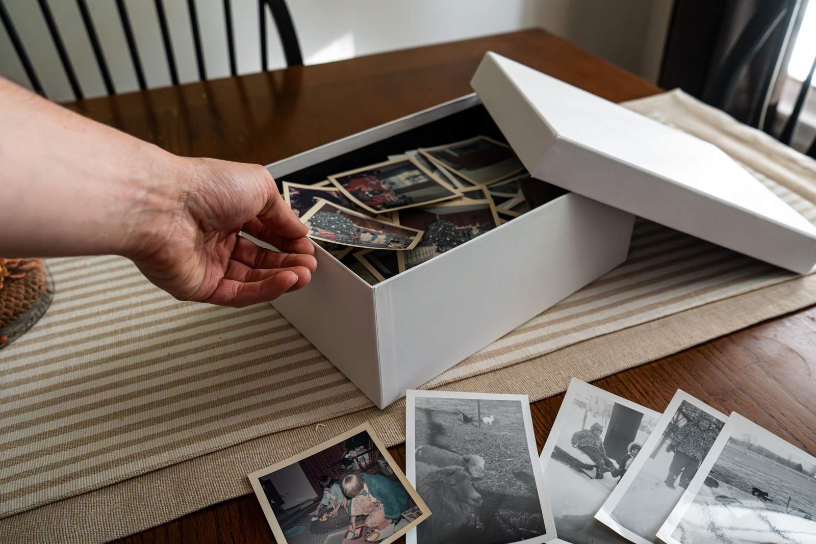 Hand reaching into a box of old family photographs